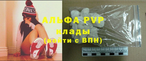 гидра Гусь-Хрустальный